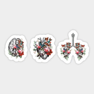 Nature’s Embrace: Floral Brain, Blooming Heart, Butterfly Lungs - Artistic Illustration of Human Organs Melded with Nature Sticker